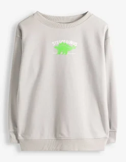 Sweatshirt - Rückenprint - hellgrau